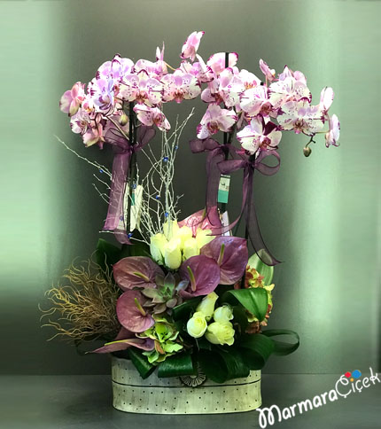 Lilac Orchid Arrangement