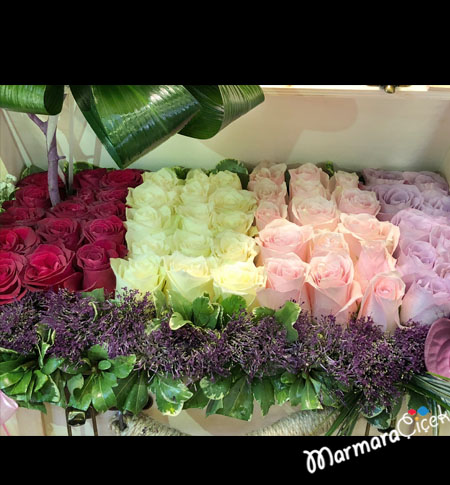 Colorful Roses in the Crate