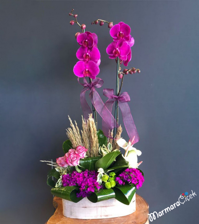 Arrangement With Orchids