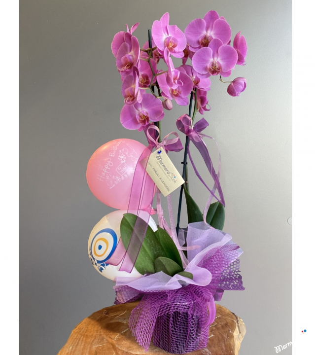 Pink Orchid With Balloons