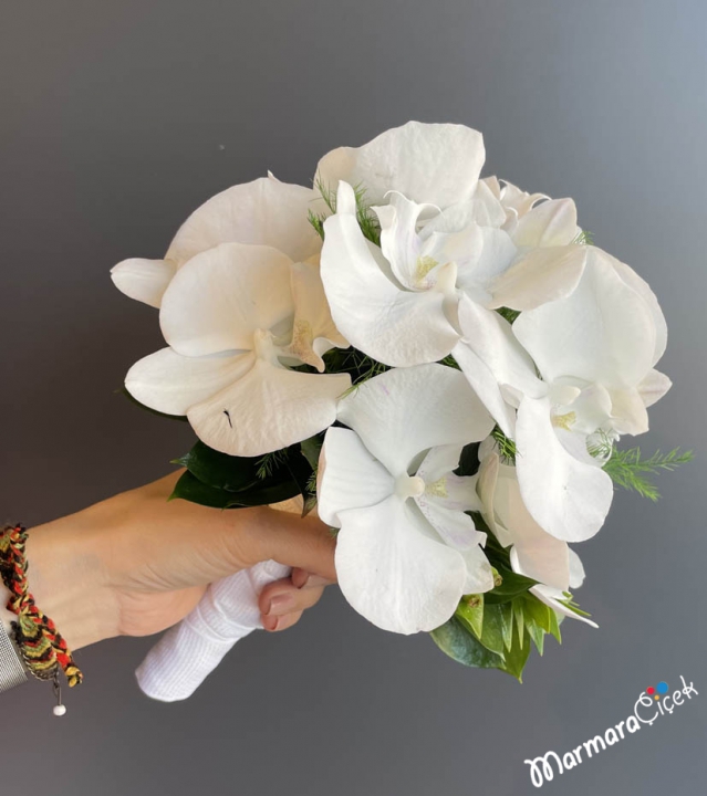 Live Orchid Bridal Flower