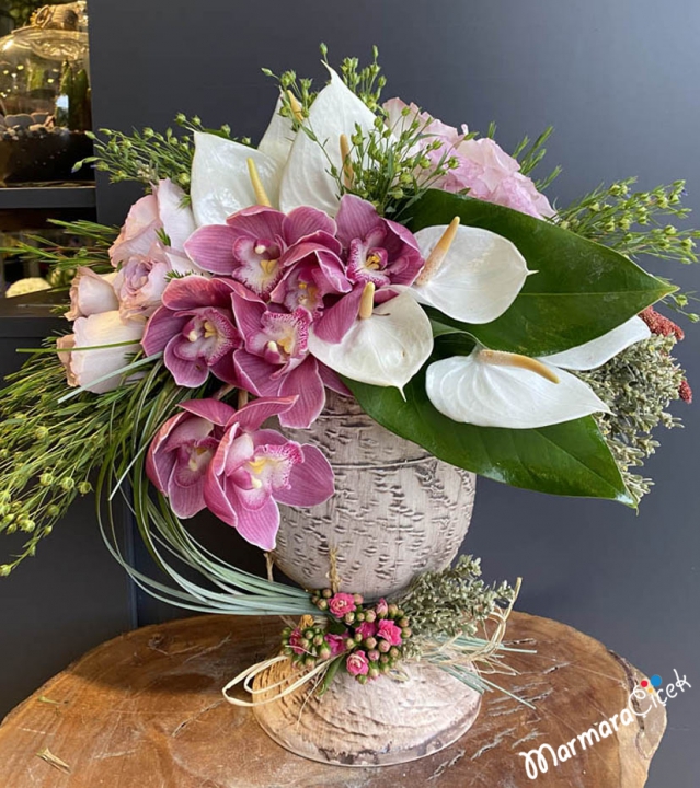 Greeting Arrangement with Orchid