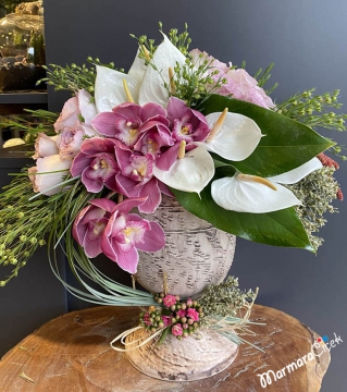 Greeting Arrangement with Orchid