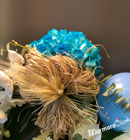 Live Baby Boy Arrangement