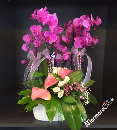 Fuchsia Orchid Arrangement