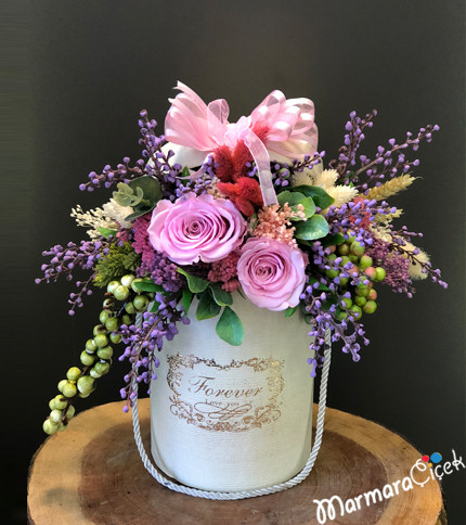 Kutuda Şoklanmış Gül 