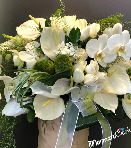 Orchid Anthurium Arrangement