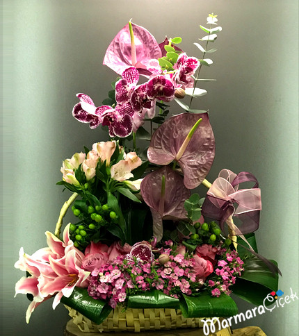 My Orchid Garden in a Basket