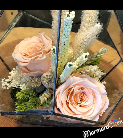 Prism Terrarium with Shocked Roses