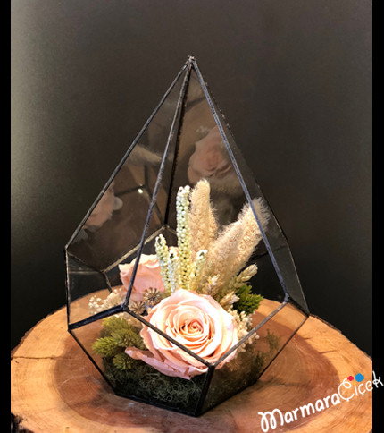 Prism Terrarium with Shocked Roses