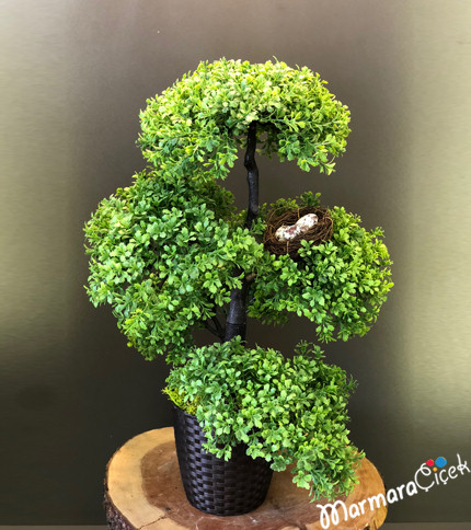 Artificial Boxwood