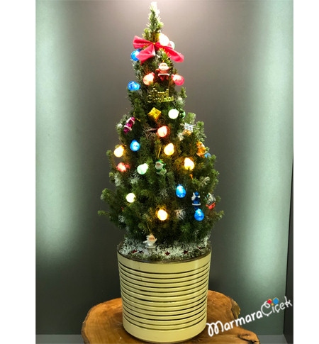 Yılbaşı Çam Ağacı, Yılbaşı Ağacı, Çam Ağacı, Noel Ağacı