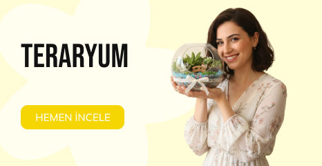 Teraryum