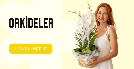 Orkide Çiçek   [ Kategori ]