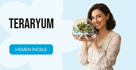 Teraryum   [ Kategori ]