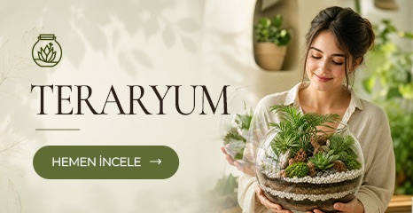 Teraryum