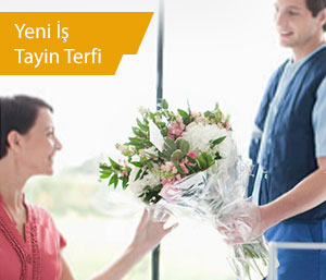 Yeni İş & Terfi