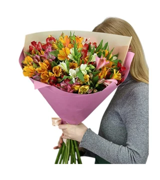 25 Alstromeria (60-70 cm)