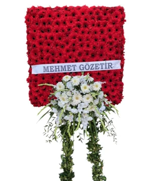 Gösterişli Açılış Panosu 