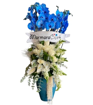 Mavi Orkide Kurumsal Aranjman