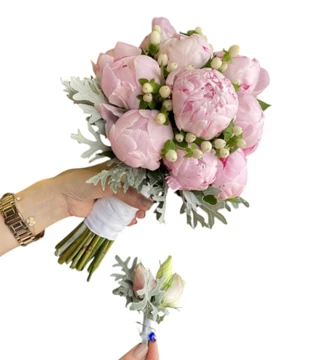 Pembe Şakayık (Paeonia) Gelin Çiçeği