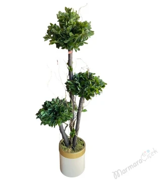 Pittosporum 3’lü Bonsai Yapay Saksı Çiçeği