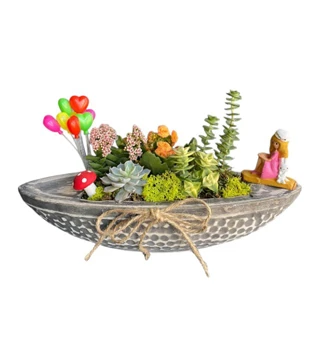 Sandal Sefası Sukulent Tanzim