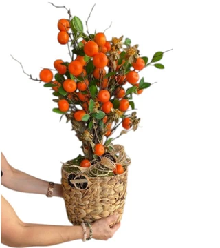 Yapay Mandalina Ağacı
