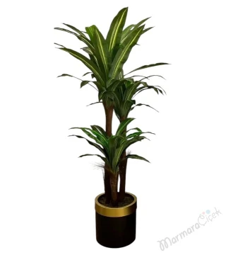 Yapay Yucca Ağacı 