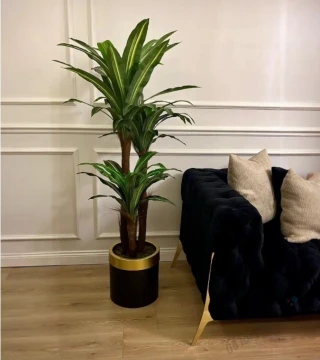 Yapay Yucca Bitkisi 