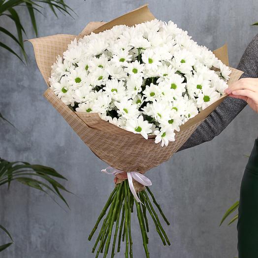 25 White Chrysanthemum