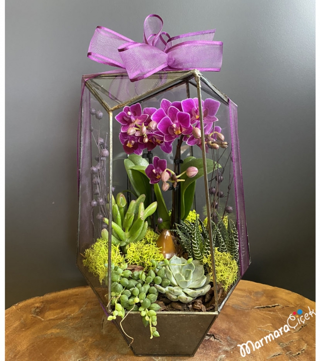 Prism Terrarium with Orchids