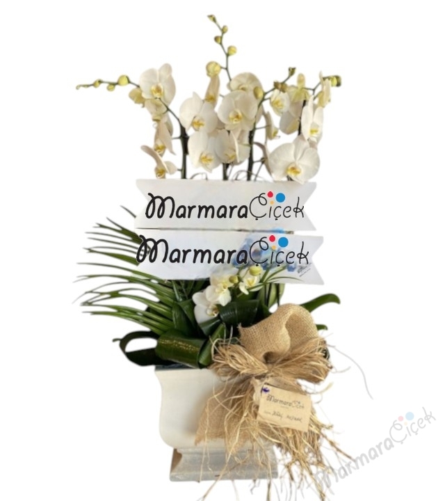 4 Dallı Fuar Orkide Aranjman 