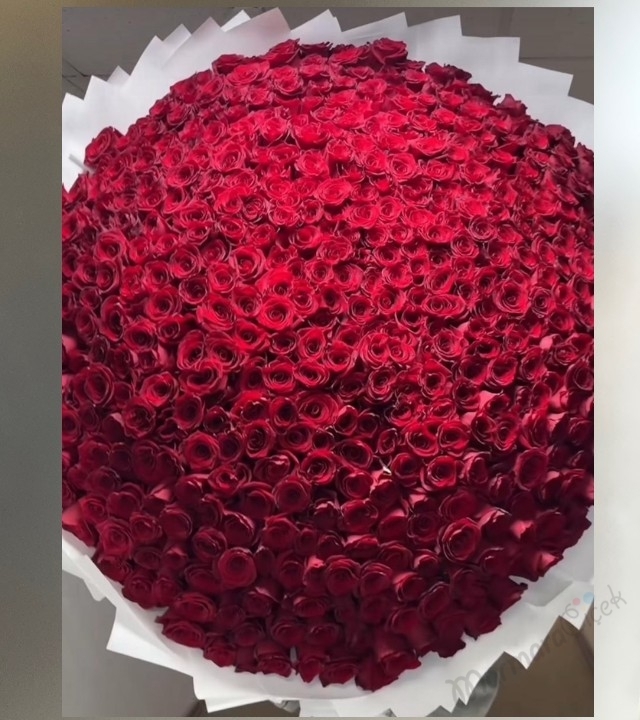 500 Adet Gül Buketi