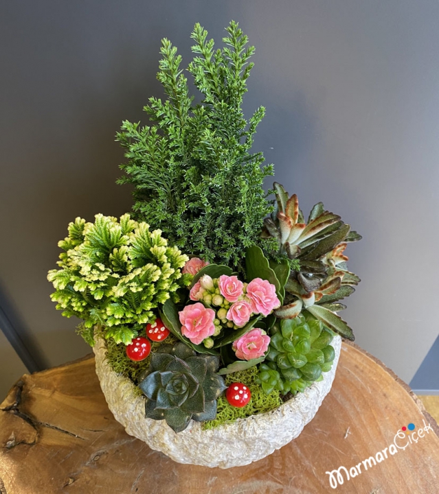 Ayaklı Saksıda Sukulent Bahçesi