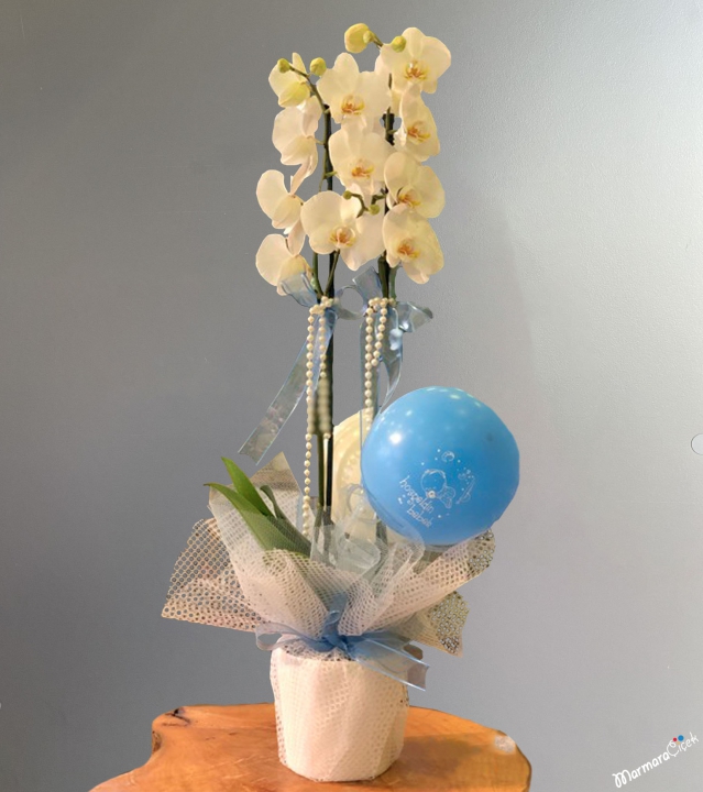 Double Orchid with Balloon