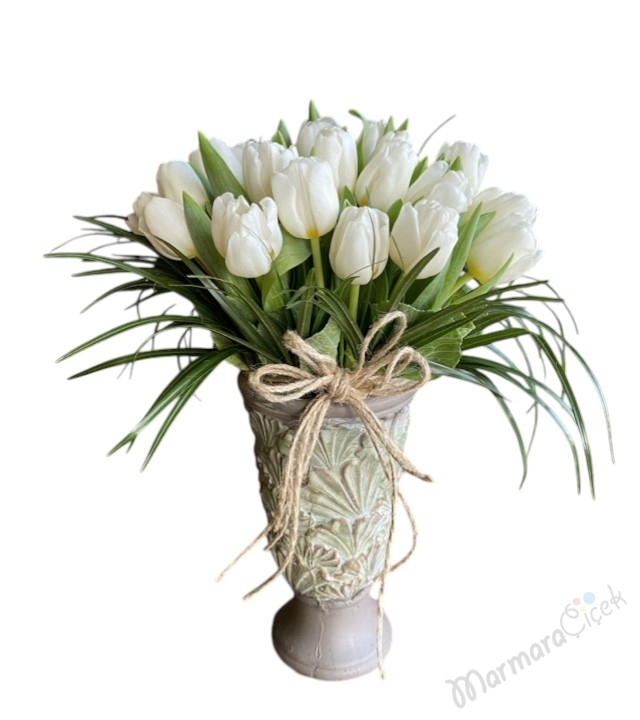 Beyaz Lale Aranjman