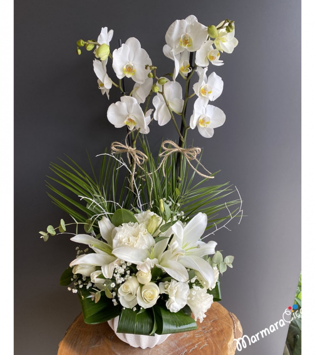 White Orchid Arrangement