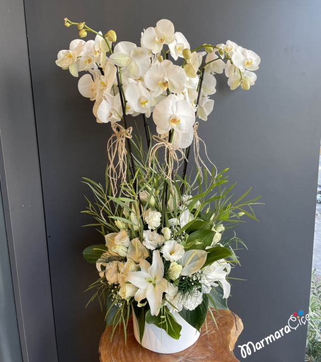 White Orchid Wedding Flower