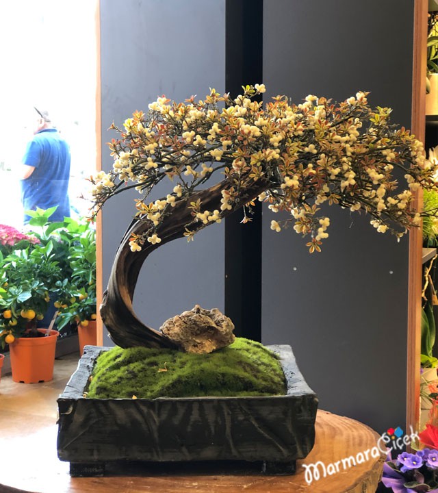 Yapay Çiçekli Bonsai
