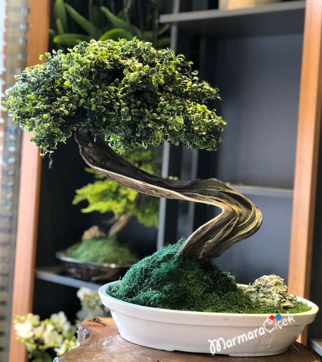 Yapay Bonsai Ağacı