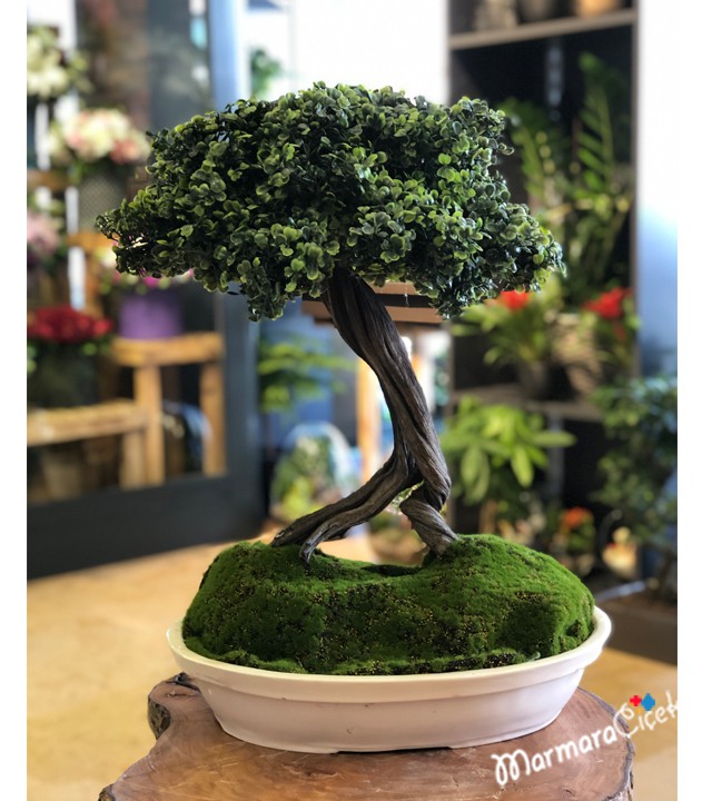 Yapay Bonsai 