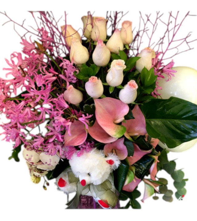 Ayıcıklı Aranjman