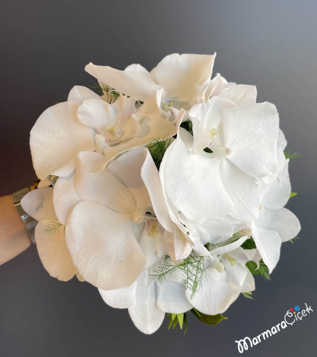 Live Orchid Bridal Flower