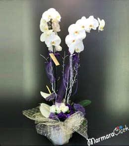 Çiftli Beyaz Orkideli Aranjman