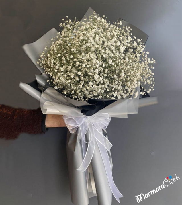 Cipsofilya Bouquet