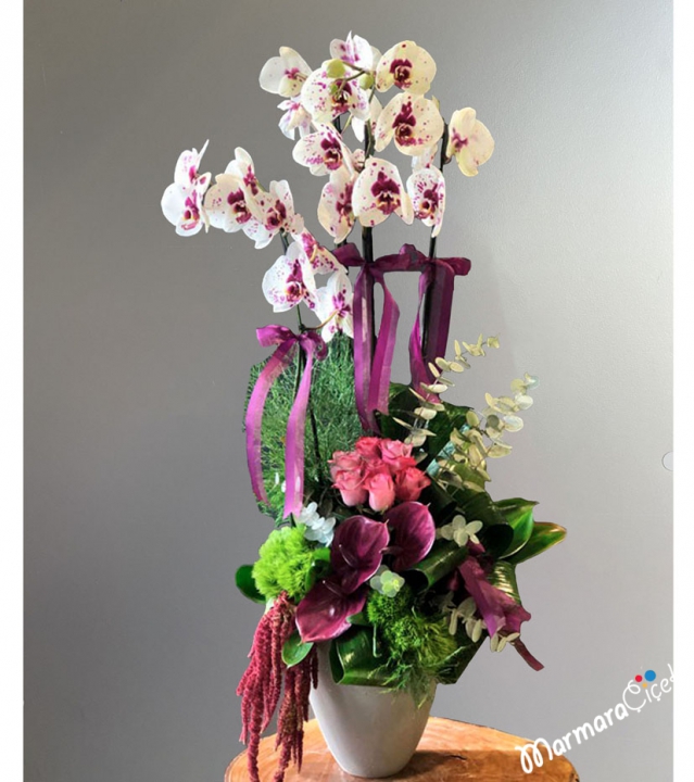 Arrangement of Dalmatian Orchids