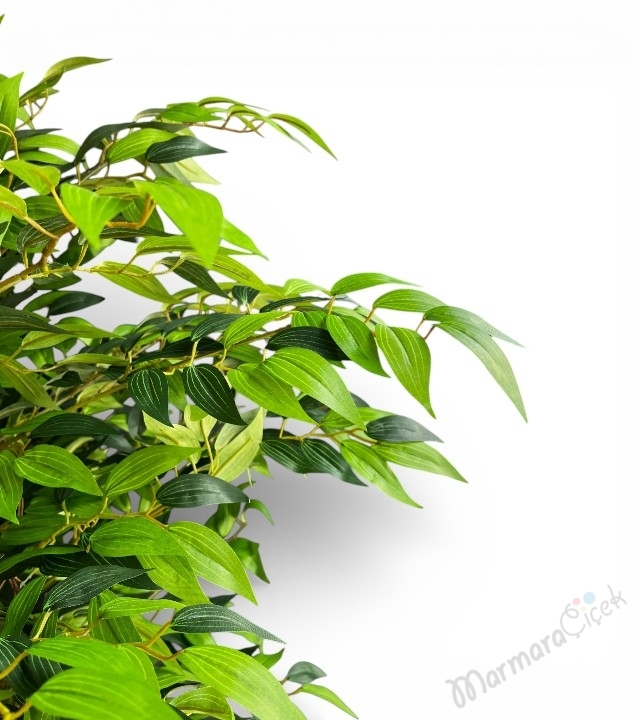 Dekoratif Yapay Ficus Ağacı