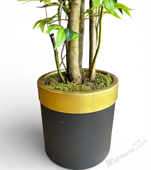Dekoratif Yapay Ficus Ağacı