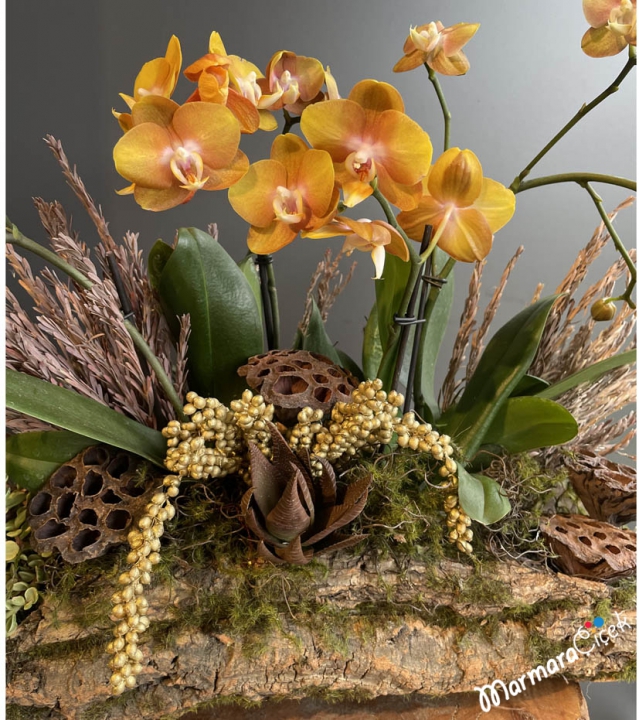 Doğal Orkide Tasarımı